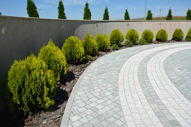 Best Residential Driveway Paver Services  in Seymour, TX